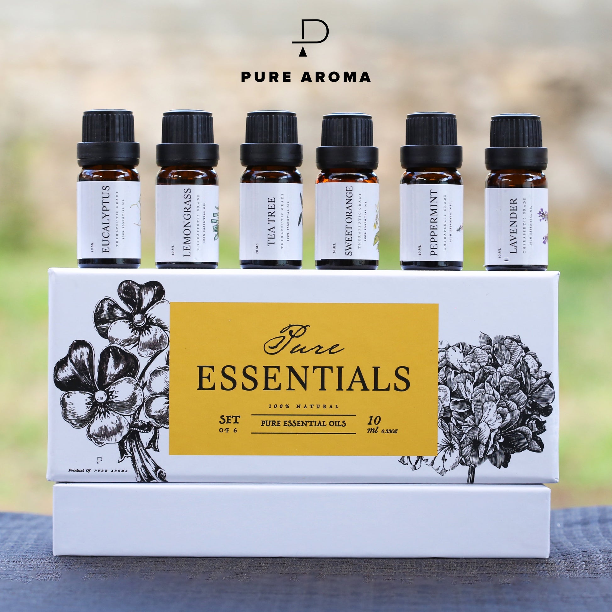 PURE AROMA Essential Oils - Top 6 Aromatherapy Oils in 1 Box (10